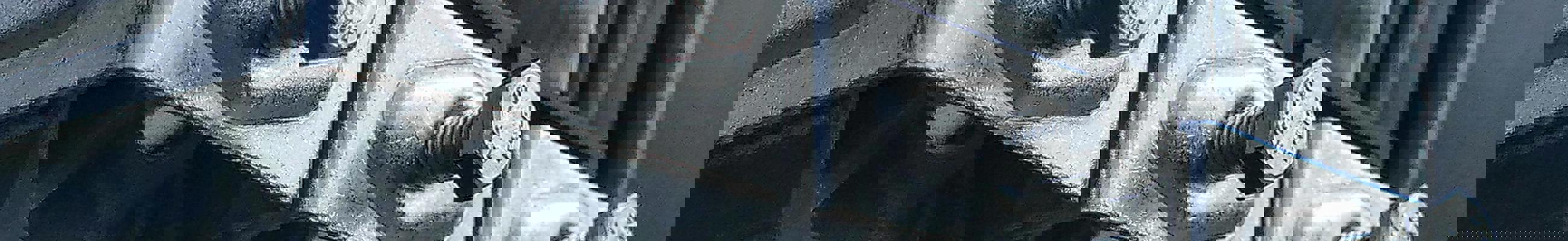 Pexels Pixabay 207367